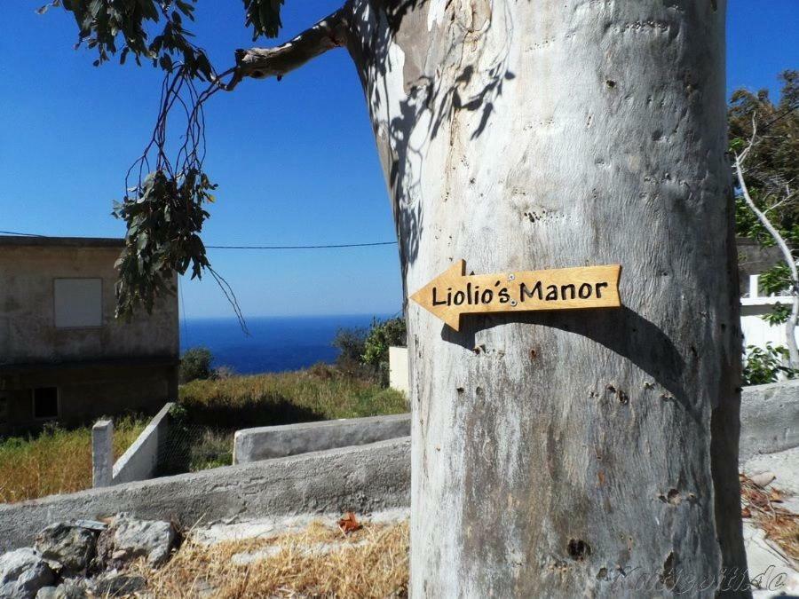 Vila Liolio'S Manor Agalianos Exteriér fotografie